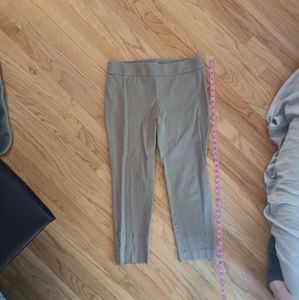 Loft Tan Capris, Sz 10